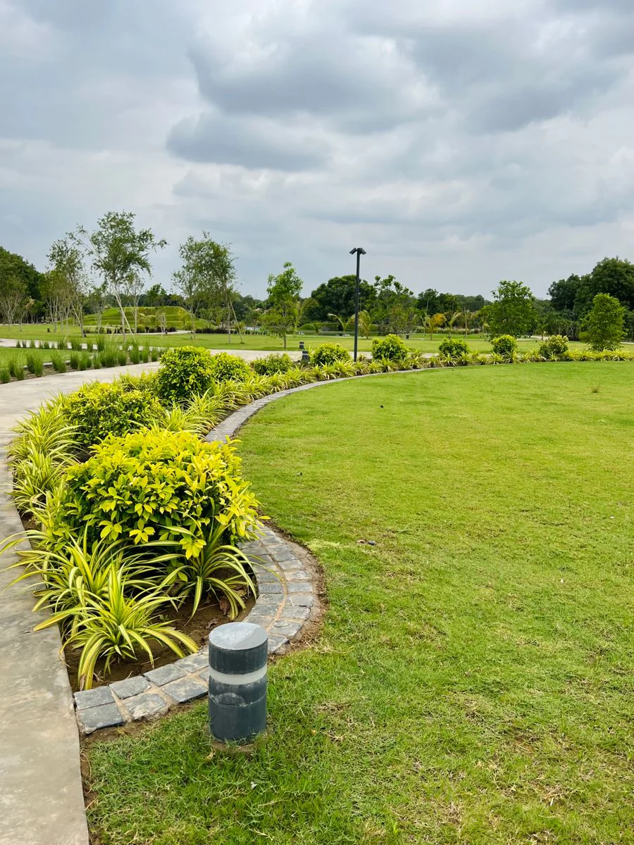 Curved lawn with layered ornamental planting