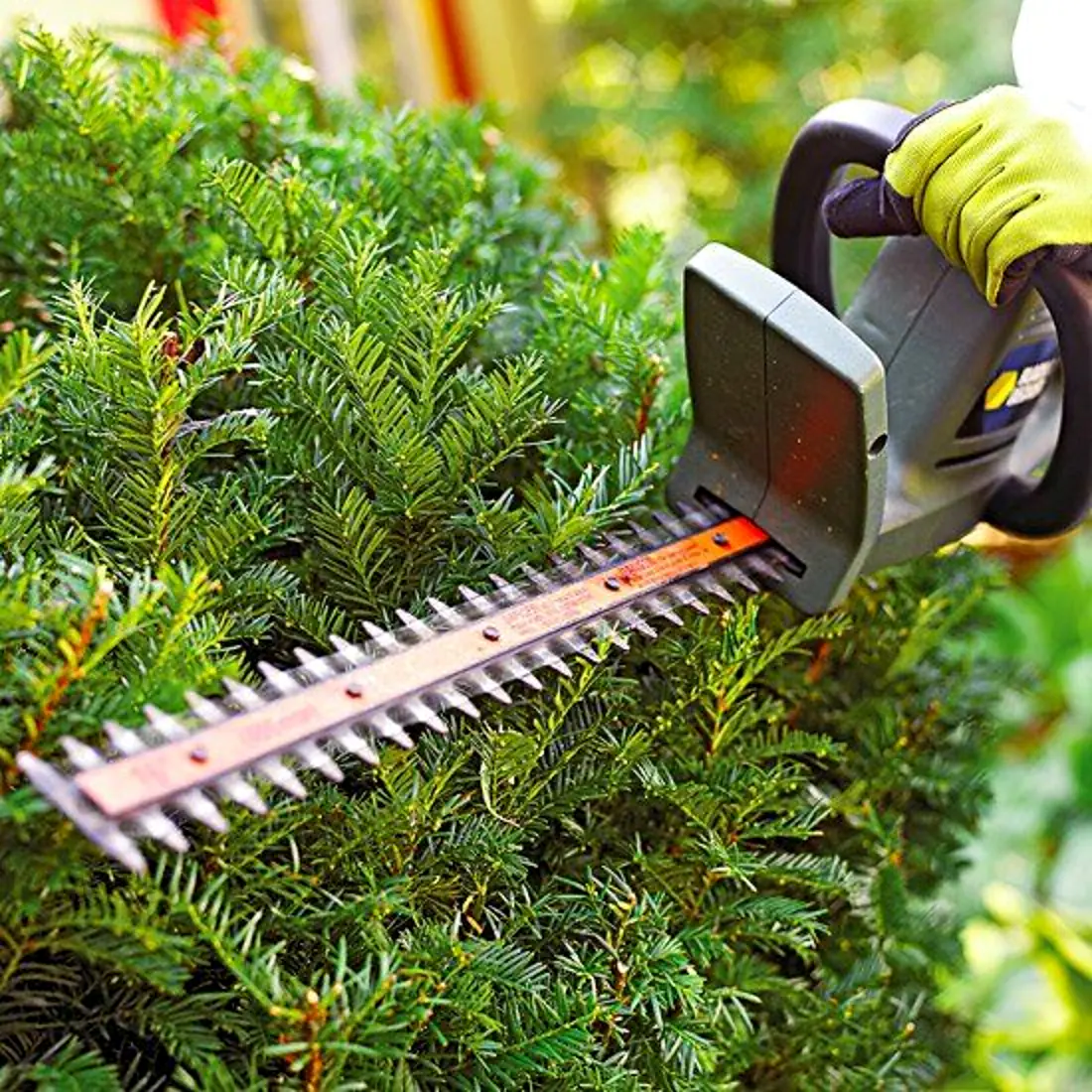 Professional hedge cutter shaping dense garden foliage